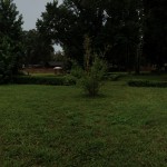 The lake and the back of Gurudev's residence hidden under the oaks. Click to enlarge.