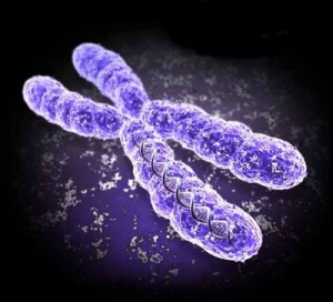 gene-therapy-chromosome