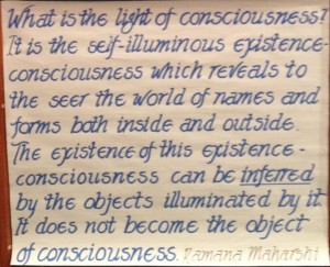 Light of Consciousness