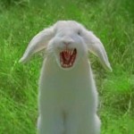 bunnyfangs